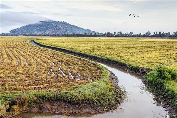 夢見壕溝 水溝